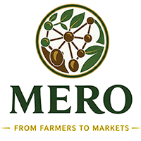 MeroQuantum